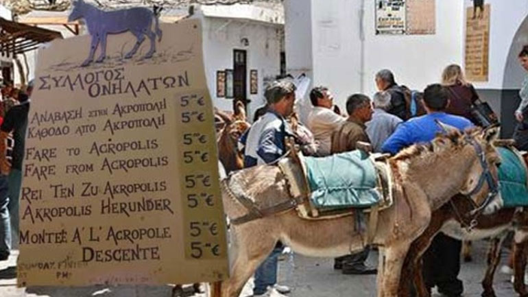 Ρόδος: Στο στόχαστρο του ΣΔΟΕ τα γαϊδουράκια της Λίνδου