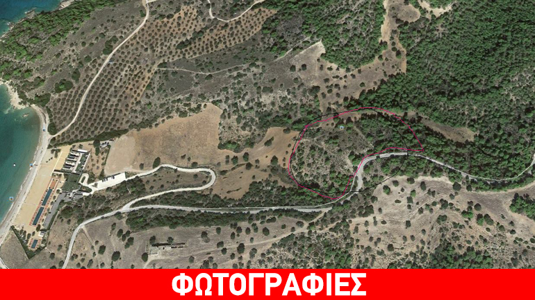 Κρανίδι: Άγνωστοι μπάζωσαν την καμμένη βλάστηση μετά από πυρκαγιά