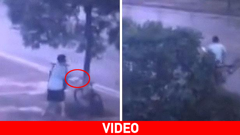 Κίνα: Έκοψε το δέντρο για να κλέψει το ποδήλατο!