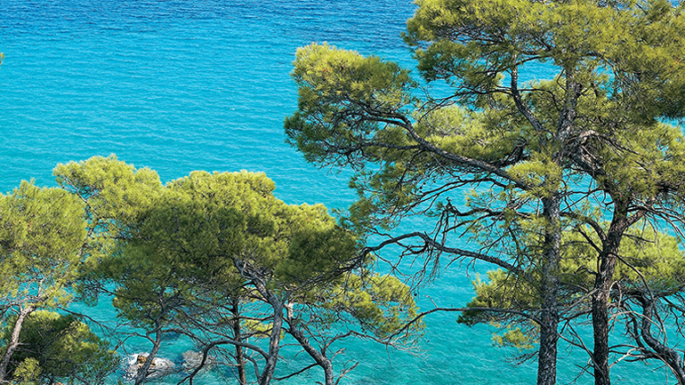 Αγγίζει το 100% η πληρότητα τον Δεκαπενταύγουστο στη Χαλκιδική