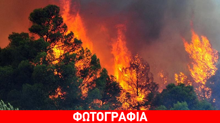 Πολύ υψηλός κίνδυνος πυρκαγιάς σε Ηλεία, Μεσσηνία και Θεσσαλονίκη