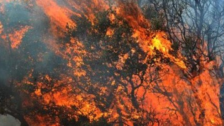 40 στρέμματα γης έγιναν στάχτη από δύο πυρκαγιές στην Κρήτη