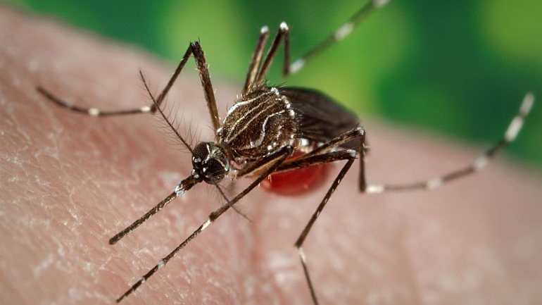 Εξαπλώνεται ο ιός Ζίκα στο Πουέρτο Ρίκο