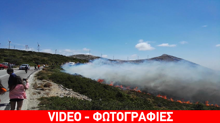 Εκκενώθηκε ο οικισμός Πόρτο Λάφια στην Κάρυστο – μαίνεται η πυρκαγιά