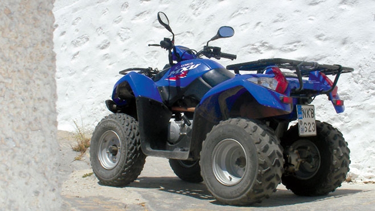 Κρήτη: Βγηκαν για βόλτα με… γουρούνα και κατέληξαν στο νοσοκομείο