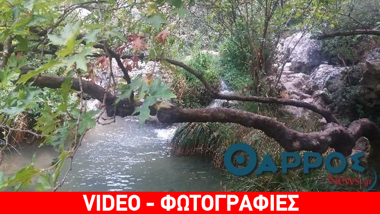 Εικόνες από τον τόπο της τραγωδίας στο Πολυλίμνιο Μεσσηνίας