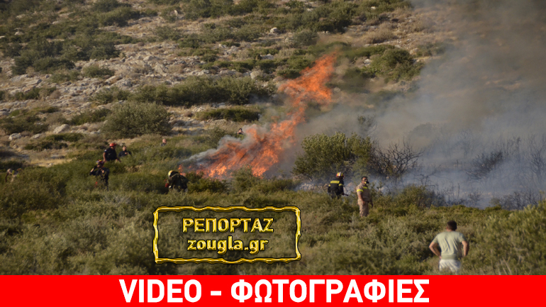 Πυρκαγιά σε δασική έκταση των Καλυβίων – οι φλόγες περιορίστηκαν σε λόφο Πυρκαγιά σε δασική έκταση των Καλυβίων – οι φλόγες περιορίστηκαν σε λόφο