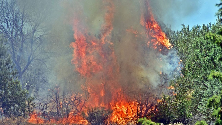 Στάχτη έγιναν 20 στρέμματα στη Φιλαδέλφεια Θεσσαλονίκης