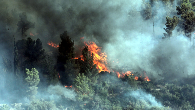 Μεγάλη φωτιά στα Χανιά