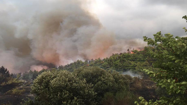 Σε εξέλιξη η πυρκαγιά στην Καλαμπάκα