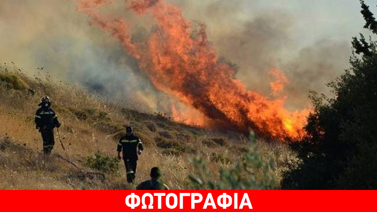 Υψηλός κίνδυνος πυρκαγιάς σε περιοχές της νότιας Πελοποννήσου