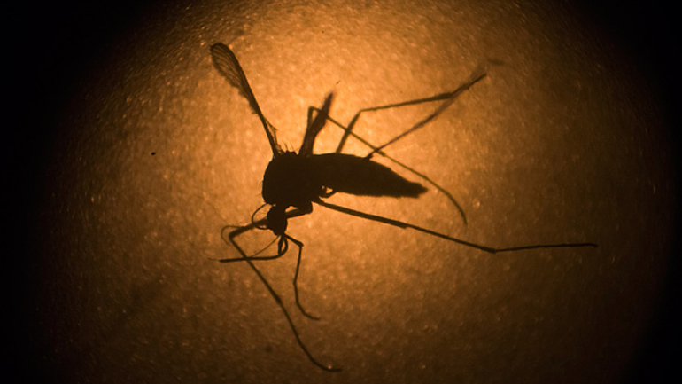 Επιβεβαιώθηκε το πρώτο κρούσμα μικροκεφαλίας νεογνού, αποδιδόμενο στον ιό Ζίκα, στη Γουατεμάλα