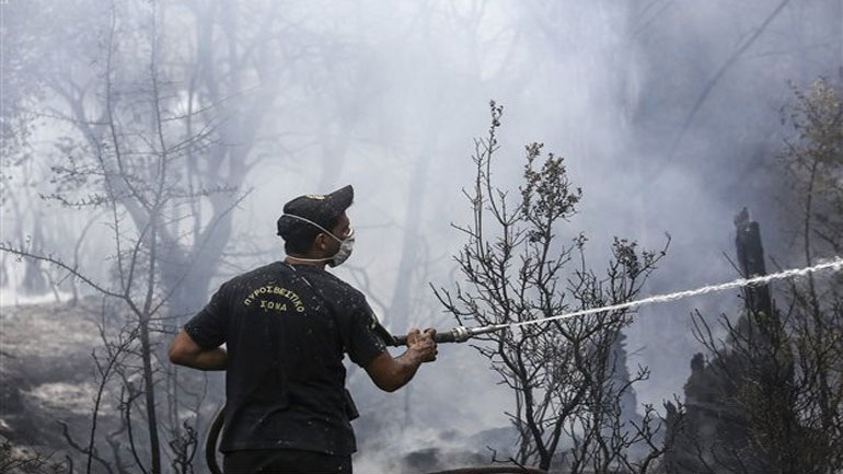 Υπό έλεγχο τέθηκε η πυρκαγιά στην Προσύμνα Άργους