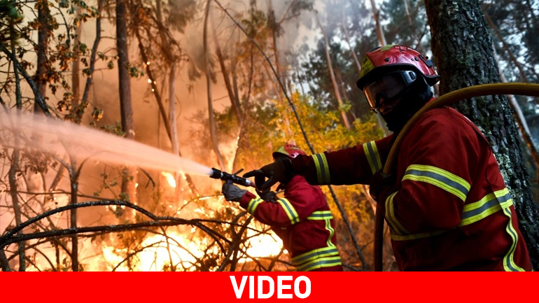 Τεράστια οικολογική καταστροφή στην Πορτογαλία – Στάχτη περισσότερα από 950.000 στρέμματα τον Αύγουστο