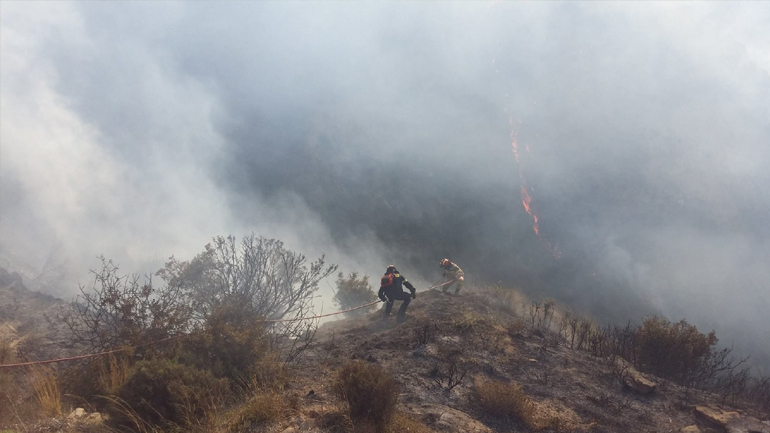 Σε εξέλιξη πυρκαγιά στην περιοχή του Μέγα Σπηλαίου Καλαβρύτων