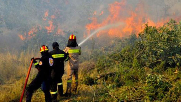 Σε εξέλιξη πυρκαγιά στις Αιγές Ακράτας