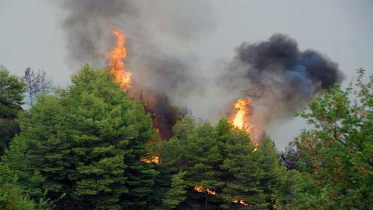 Σε εξέλιξη πυρκαγιά στη Ματαράγκα Αιτωλοακαρνανίας