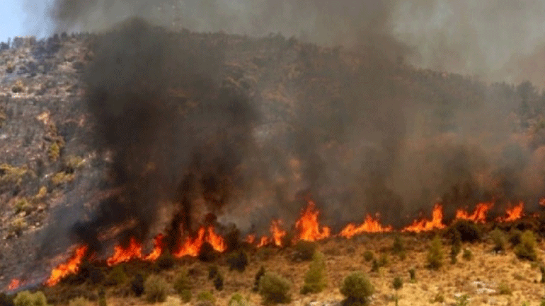 Καβάλα: Σε εξέλιξη δασική πυρκαγιά στον Διπόταμο