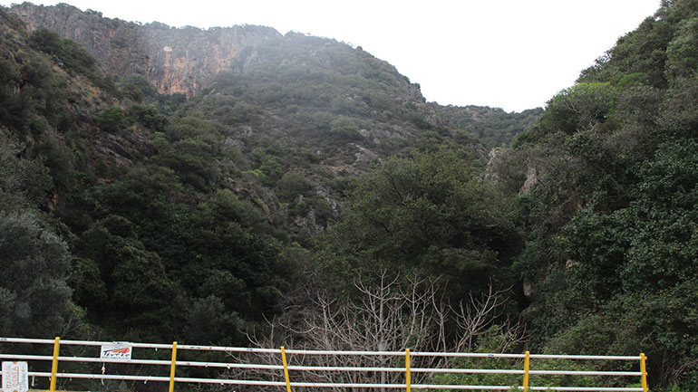 Πατέρας και υιός συνελήφθησαν για χασισοφυτεία κρυμμένη σε δύσβατη περιοχή