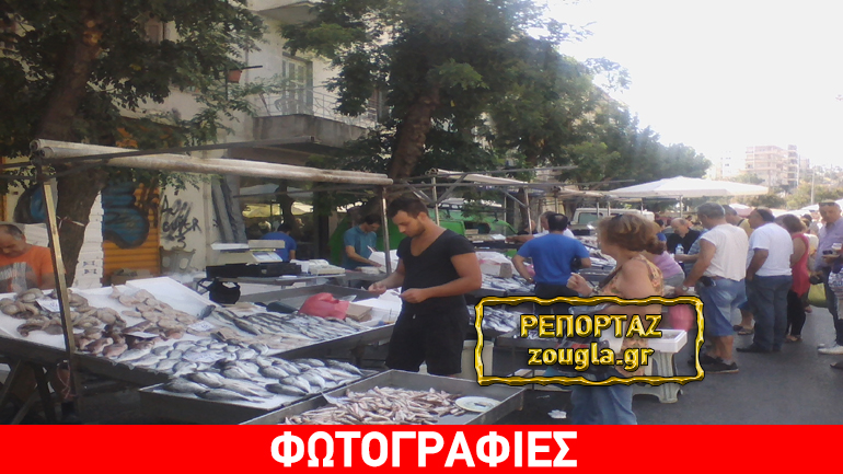 «Μαύρο» φθινόπωρο από τους φόρους περιμένουν οι Έλληνες παραγωγοί