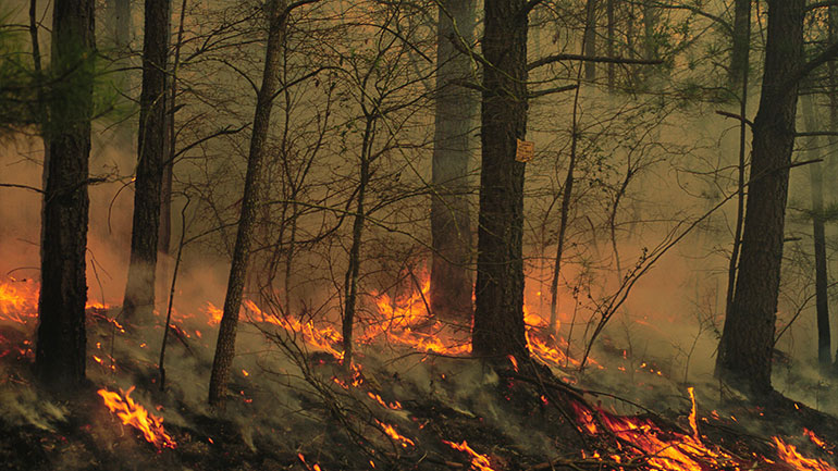Καλύτερη η κατάσταση σε Ανάβυσσο και Πεντάλοφο Μεσολογγίου