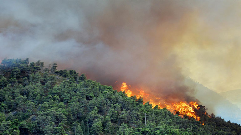 Υπό μερικό έλεγχο η πυρκαγιά στο Ρηγαίο Λάρισας