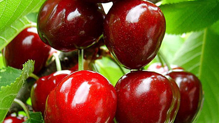 Το φρούτο που θα σε βοηθήσει να χάσεις το λίπος από την κοιλιά!