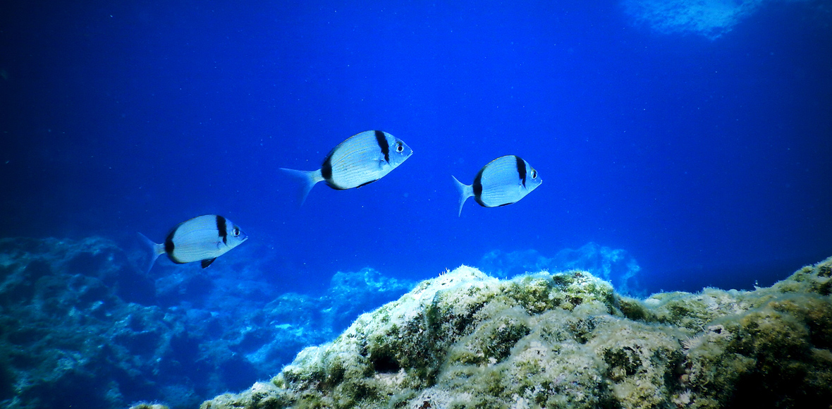 Το “Απέραντο Γαλάζιο” γυρίστηκε εδώ…