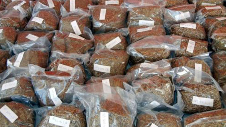 Αγρίνιο: Συνελήφθη πρατηριούχος καυσίμων με 18 κιλά λαθραίο καπνό