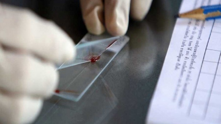 Εντοπίστηκαν πέντε κρούσματα ελονοσίας στην Κρήτη