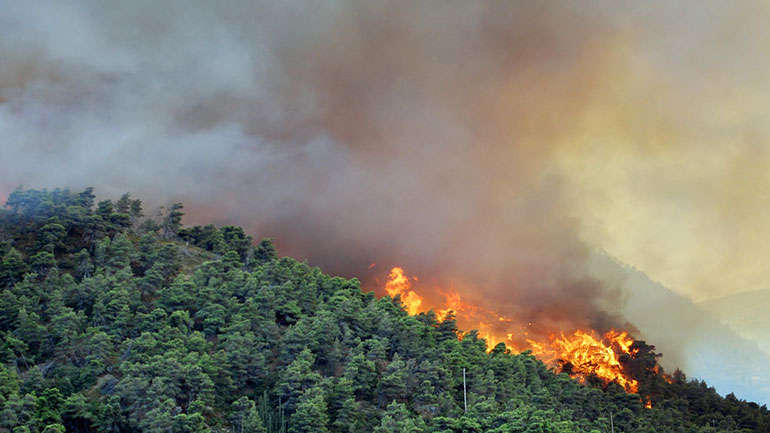 Υπό πλήρη έλεγχο η πυρκαγιά στο Δήμο Αιγιαλείας
