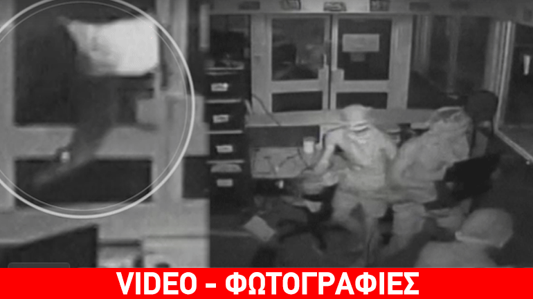 Αυστραλία: Πέταξαν κροκόδειλους σε σχολείο για να κλέψουν τους υπολογιστές