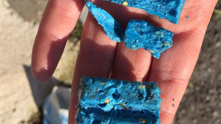 Μεσολόγγι: Δηλητηρίασαν σκυλιά και γάτες μέσα σε αυλή σπιτιού!