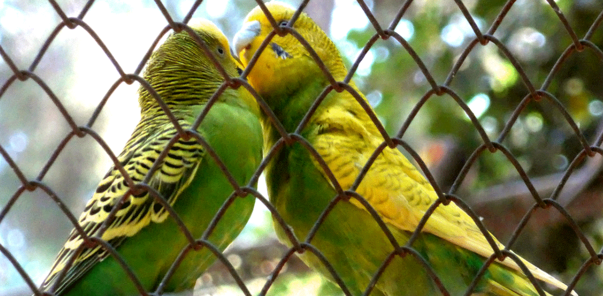 Στιγμιότυπο από τον Εθνικό Κήπο