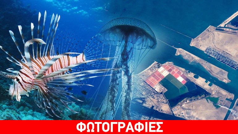 “Ρώσικη ρουλέτα”