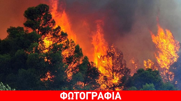 Υψηλός κίνδυνος πυρκαγιάς σε διάφορες περιοχές της χώρας