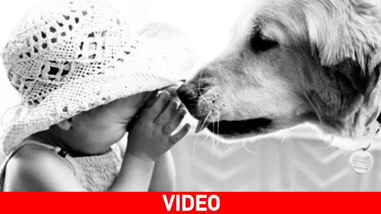 Πόση αγάπη μπορεί να δώσει ένα σκυλί σε ένα παιδί; Δείτε το συγκινητικό βίντεο με τη σκυλίτσα και το παιδί που πάσχει από σύνδρομο Down