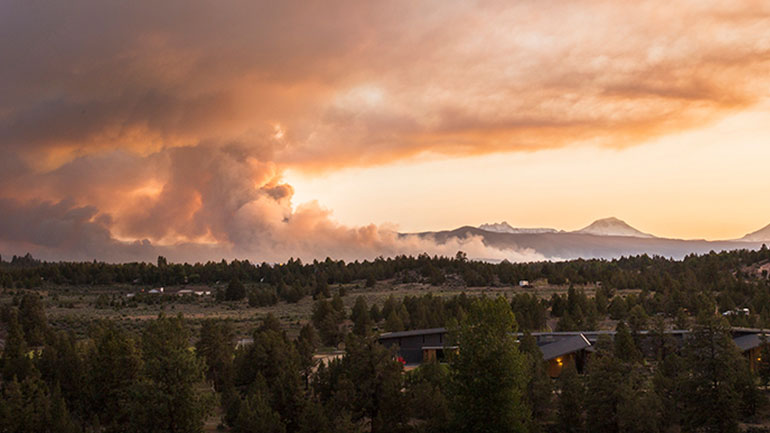 Υπό έλεγχο η πυρκαγιά στο Βελβίτσι Πατρών