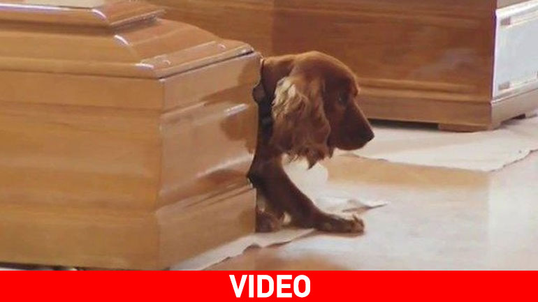 O Xάτσικο της Ιταλίας…