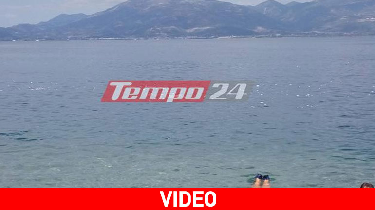 Αχαΐα: Λουόμενοι κολυμπούσαν δίπλα σε νεκρά ψάρια