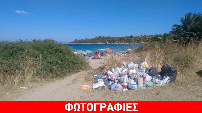Xαλκιδική: Οικολογική συνείδηση… μηδέν