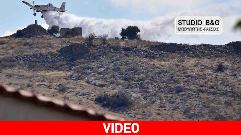 Αργολίδα: Μεγάλη πυρκαγιά στους Μύλους