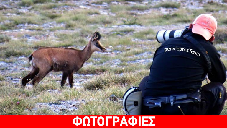 Στα μονοπάτια του αγριόγιδου του Ολύμπου