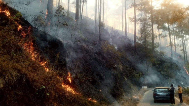 Υπό μερικό έλεγχο οι πυρκαγιές σε Ηλεία και Αμφιλοχία