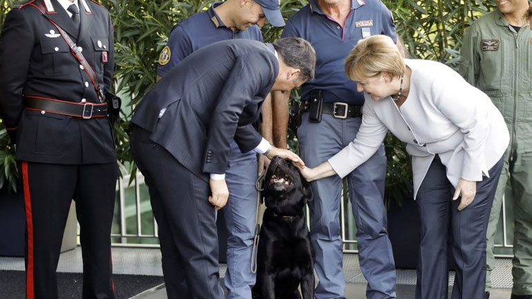 H Mέρκελ χάιδεψε τον σκύλο-ήρωα της Ιταλίας
