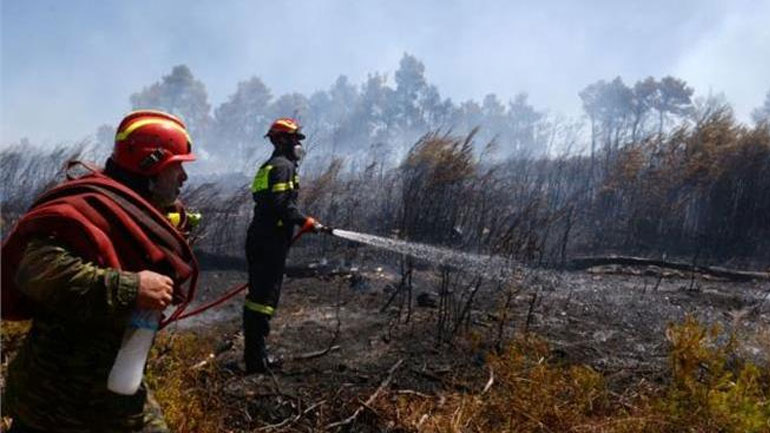 Ηλεία: Δασική έκταση 30 στρεμμάτων έκαψε η φωτιά στο Πανόπουλο