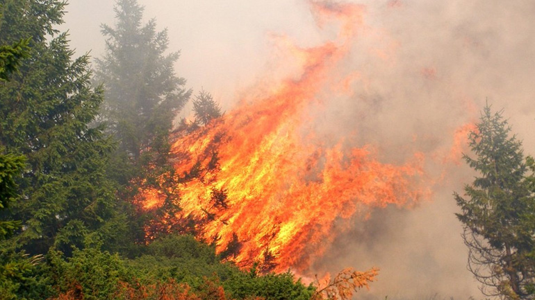 Υπό έλεγχο φωτιά που εκδηλώθηκε το μεσημέρι στα Χανιά Υπό έλεγχο φωτιά που εκδηλώθηκε το μεσημέρι στα Χανιά