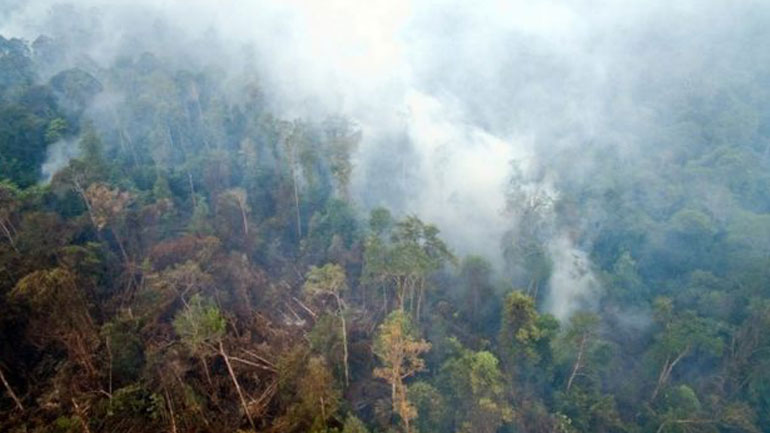 Υπό έλεγχο η πυρκαγιά στην Πάργα