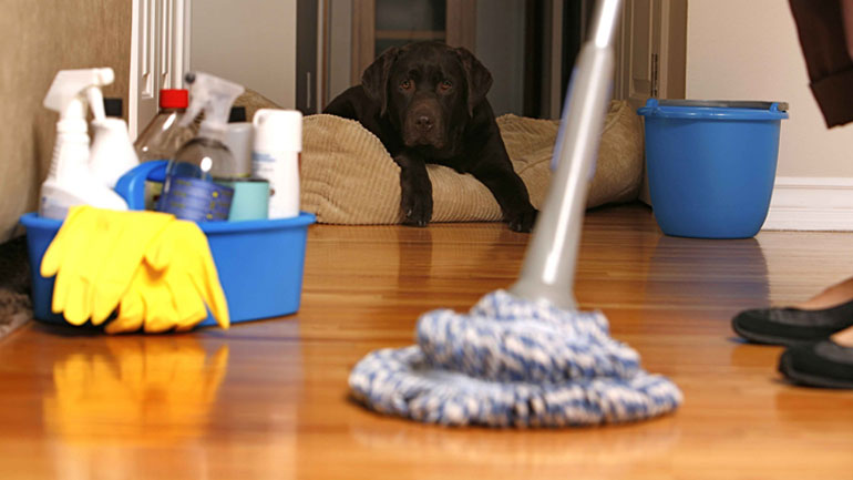 Οι επιπτώσεις στην υγεία των πνευμόνων από τα καθαριστικά του σπιτιού