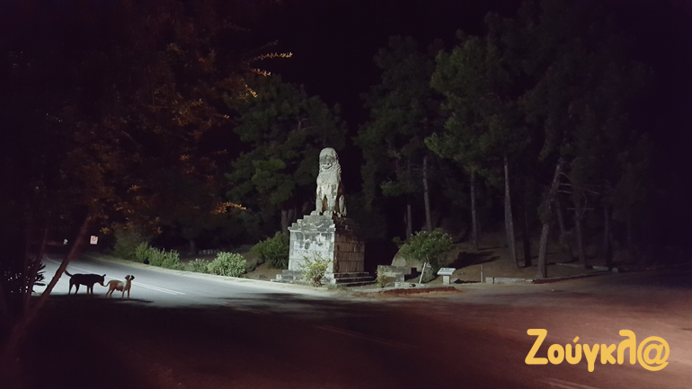 Ο 'Λέων της Αμφίπολης' όπως αποκαλείται, έχει ύψος 4 μέτρα και εικάζεται από ορισμένους αρχαιολόγους  πως βρισκόταν στο υψηλότερο σημείο του λόφου Καστά (πλέον βρίσκεται αρκετά χιλιόμετρα μακριά από το ιστορικό σημείο)